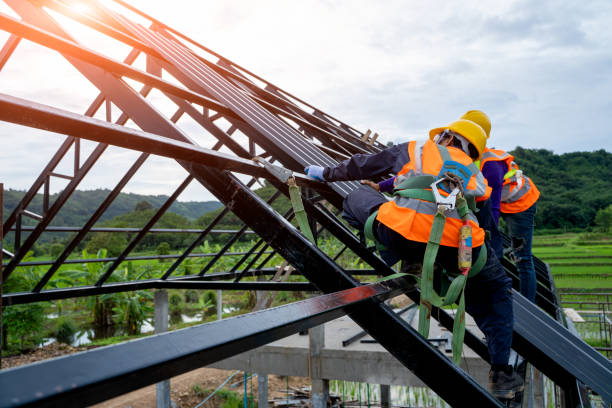 Best Roof Gutter Cleaning  in Fairview, UT