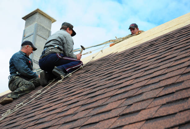 Quick and Trustworthy Emergency Roof Repair Services in Fairview, UT